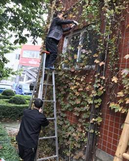 微信图片_20171109112946